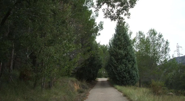 Вилла Mas de Tenesa
