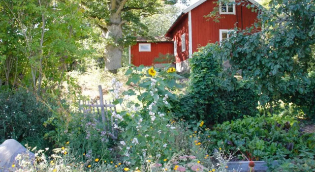 Коттедж Lindeborgs Eco Retreat