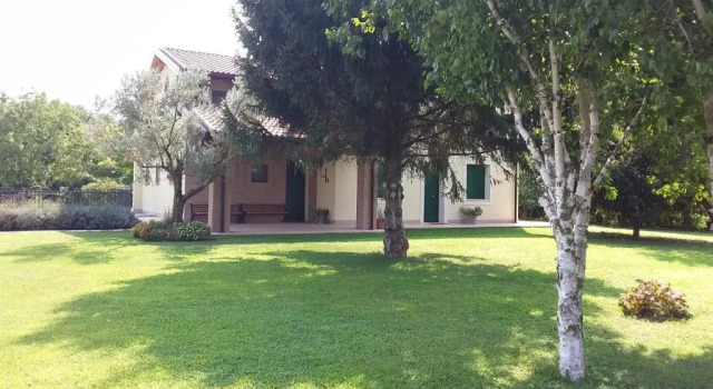 “Al Campo”