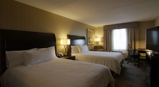 Четырёхместный номер Standard Hilton Garden Inn Toronto/Brampton