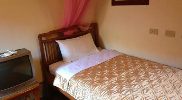 Love nostalgia No. 37 B&B