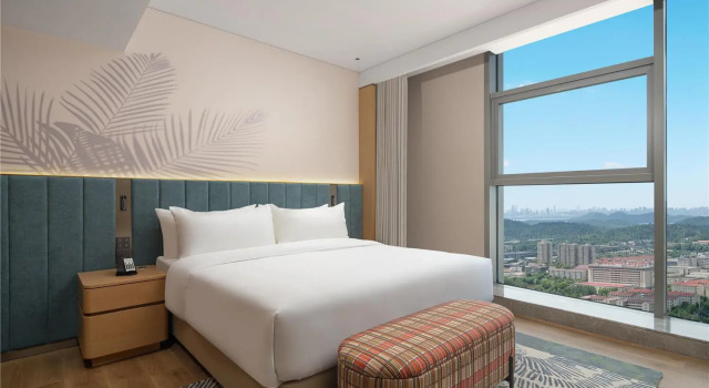 Люкс Deluxe Hilton Garden Inn Wuhan Optics Valley
