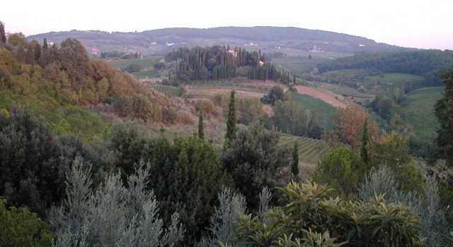 Poggio Borgoni