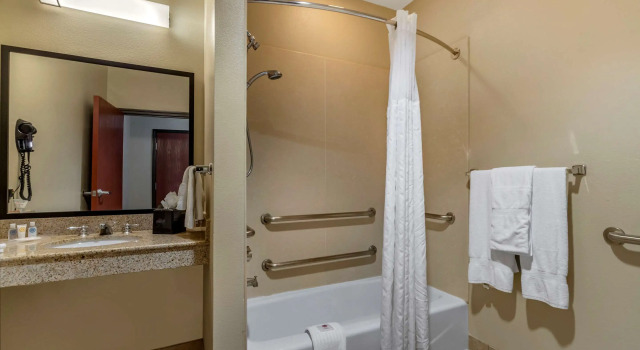 Двухместный люкс Comfort Suites Buda - Austin South