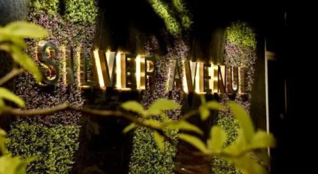 Hotel Silver Avenue