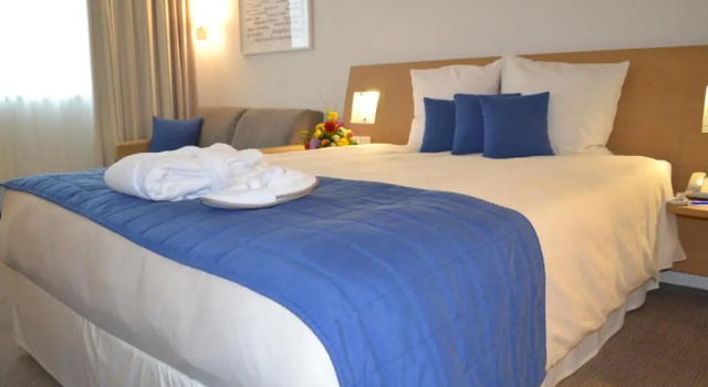 Двухместный номер Executive Novotel Bucharest City Centre