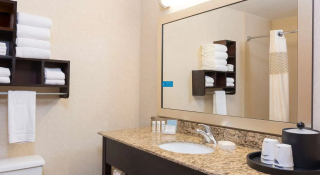 Standard Zimmer Hampton Inn Port Huron