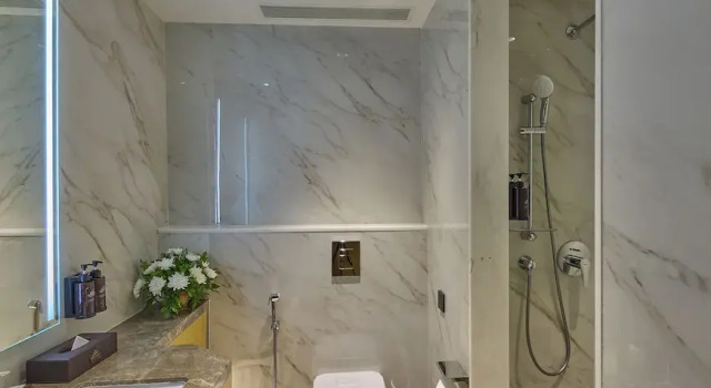 Четырёхместный семейный номер Standard Grand Continent - A Luxury Collection, Udaipur