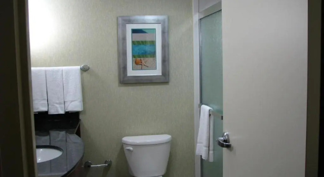 Номер Standard Holiday Inn & Suites Virginia Beach - North Beach by IHG