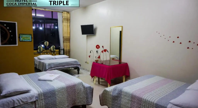 Трёхместный номер Standard Hotel Coca Imperial