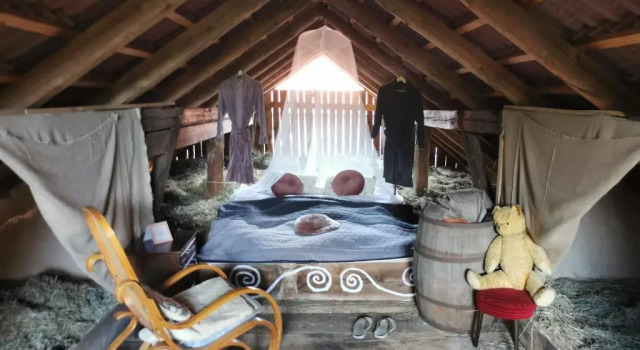 Номер Standard Panorama Glamping Visole