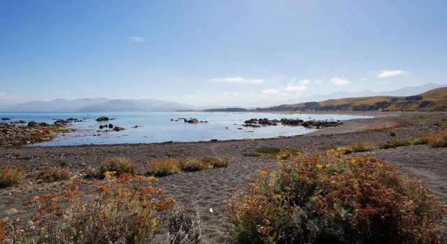 The Kaikoura Bach