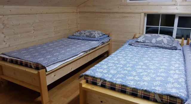 Семейный номер Standard tree house