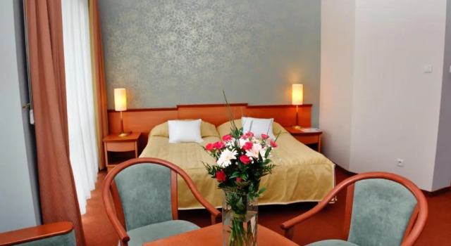Номер Standard Hotel Senator