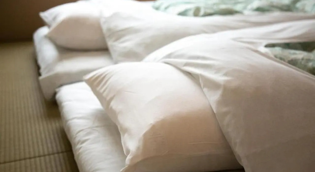 Одноместный номер Standard The RYOKAN O