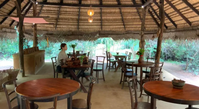 Номер Superior Athreya Ayurveda Ashram