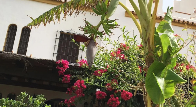 House With 3 Bedrooms in Marina de Casares, With Wonderful sea View, P