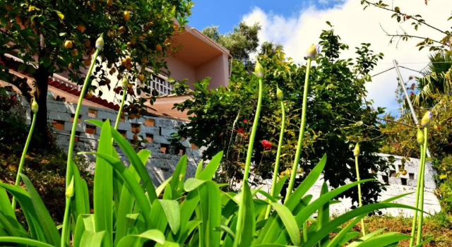 Eden Sea view studios