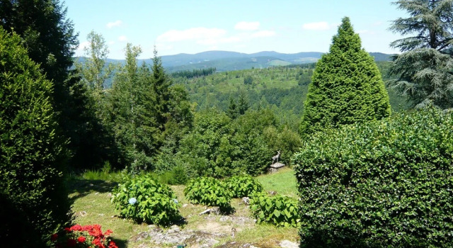 Cabanot