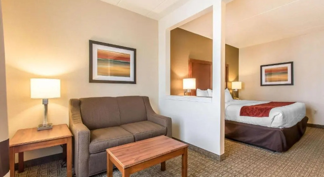 Люкс Comfort Suites Richmond