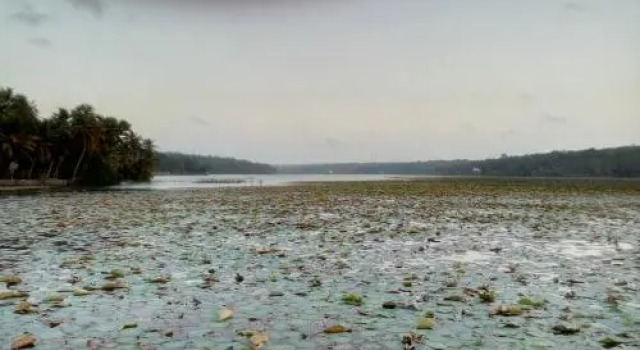 Dream Shore, Забронировать Отель Отели штата Кералы с парковкой, Парковка
