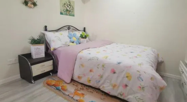 Люкс Luxury Дуплекс с 2 комнатами Xinmu Apartment (Wuhan AEON Menglecheng Branch)