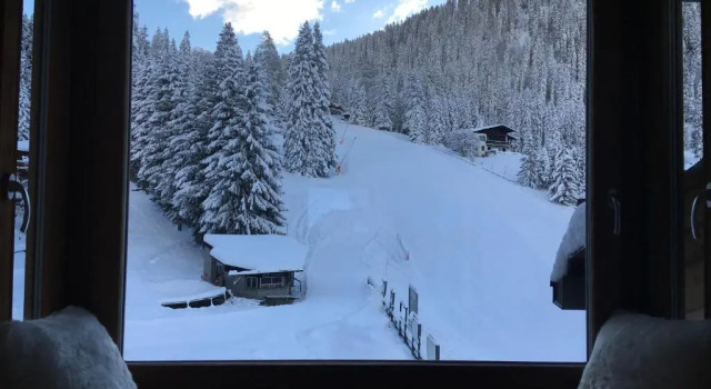 Номер Superior Chalet Laura Lodge Hotel