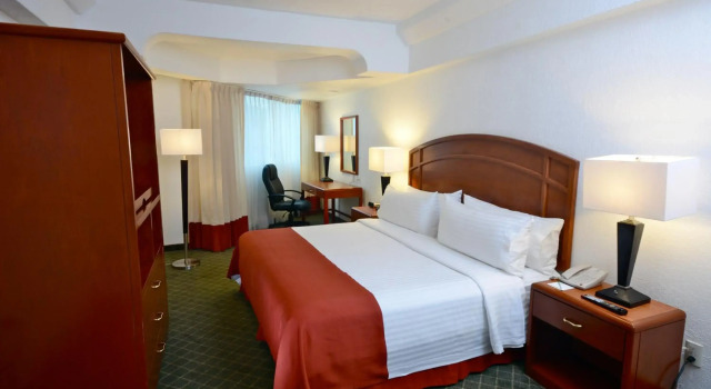 Holiday Inn Pachuca, Rezervovat Hotel 3hvězdičkové hotely v Hidalgo, 3*