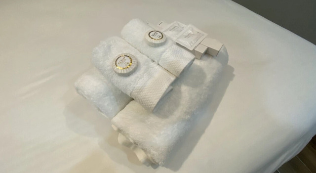 Номер Standard Rain Airport Bed and Breakfast