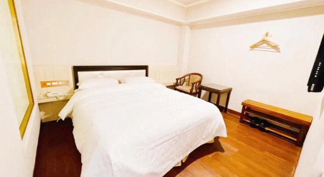 Двухместный номер Classic Spring Art Hotel