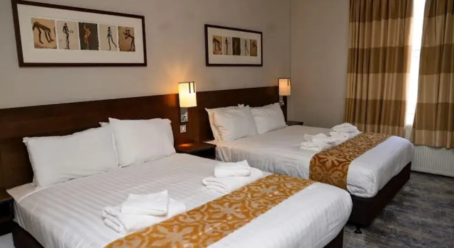 Номер Classic New Wilmington Hotel