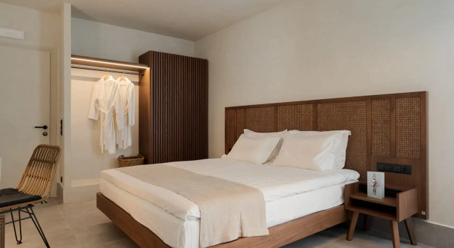 Двухместный люкс Polis of Naxos Stylish Suites
