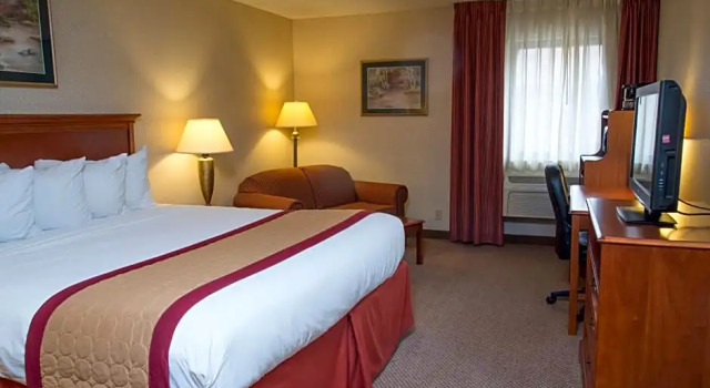 Двухместная студия Carlton Lodge Hotel and Suites