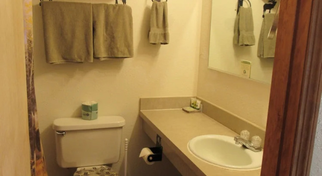 Двухместный номер Economy The Woodsman Country Lodge Motel