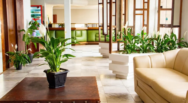 HOTEL DOMHOF, Забронировать Отель Блуменау Санта-Катарина, рядом с Собор Апостола Павла