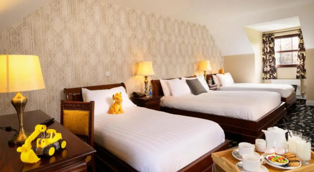 Семейный номер Deluxe Bunratty Manor