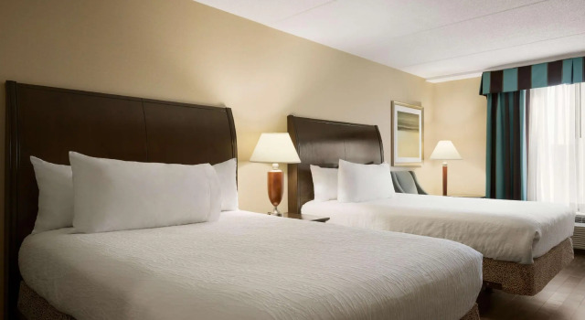 Четырёхместный номер Standard Hilton Garden Inn Toronto/Vaughan