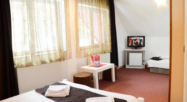 Семейный номер Standard Мансарда Pensiunea Happy Inn