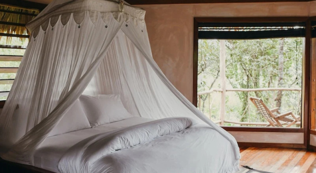 Люкс Gaia Riverlodge