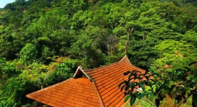 Rain Country Resort, Забронировать Курортный отель Отели штата Кералы с бассейном, Бассейн