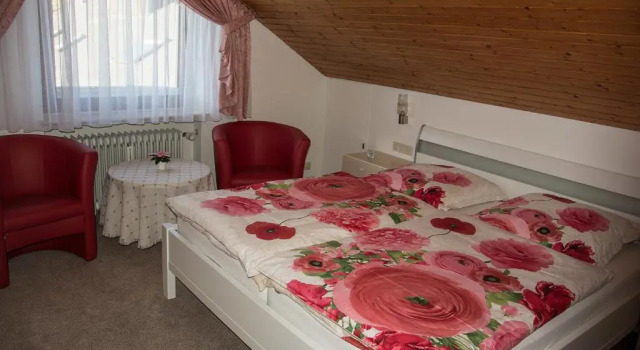 4-Sterne Wohnung im Dachgeschoss
