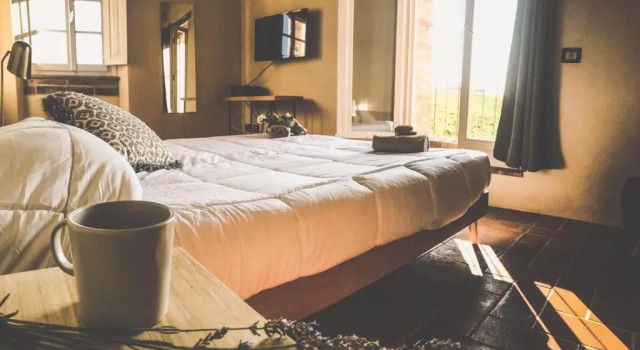 Номер Standard La Falconara