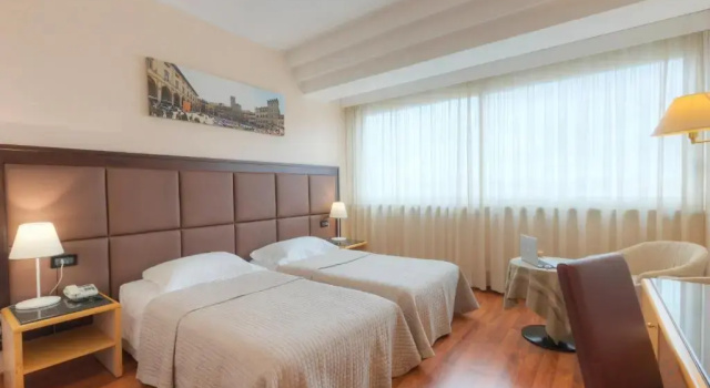 Standard Twin room Hotel Minerva