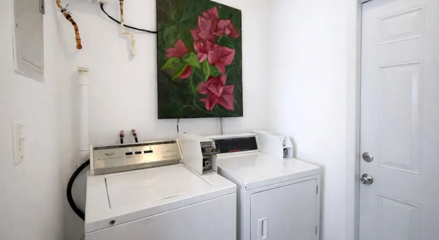 Art filled Room Near Wynwood