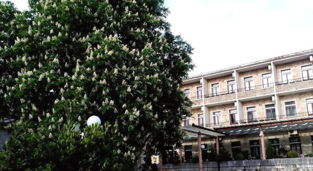 Hotel Leotar
