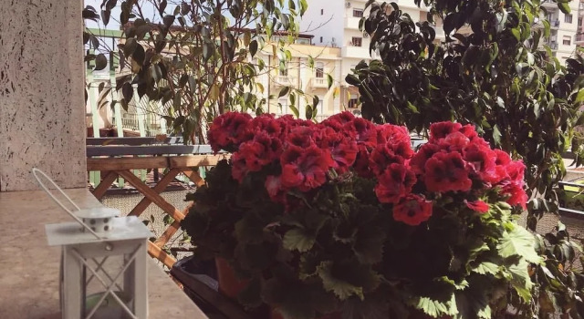 Четырёхместный номер Standard с балконом B&B La Peonia