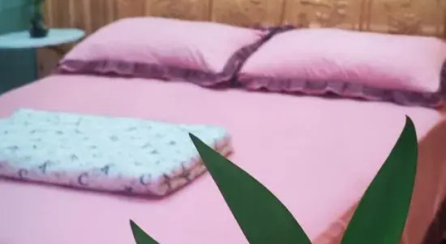 Люкс Business Peach Blossom Yuanyanhuang Villa