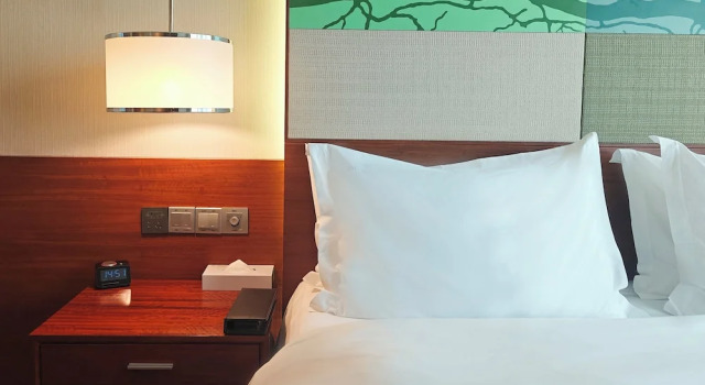 Номер Standard Holiday Inn Shenzhen Donghua by IHG