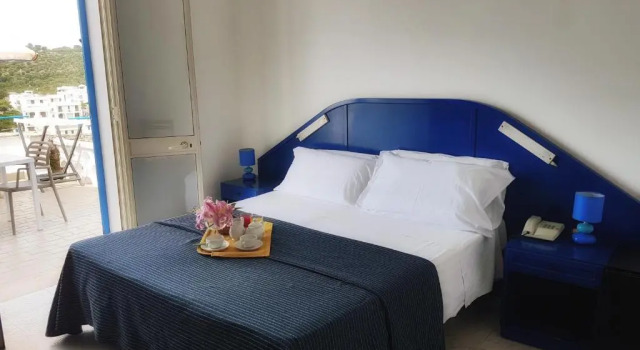 Двухместный номер Standard с видом на море Hotel Degli Ulivi