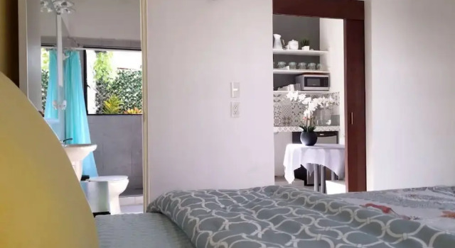 Апартаменты Downtown Suites